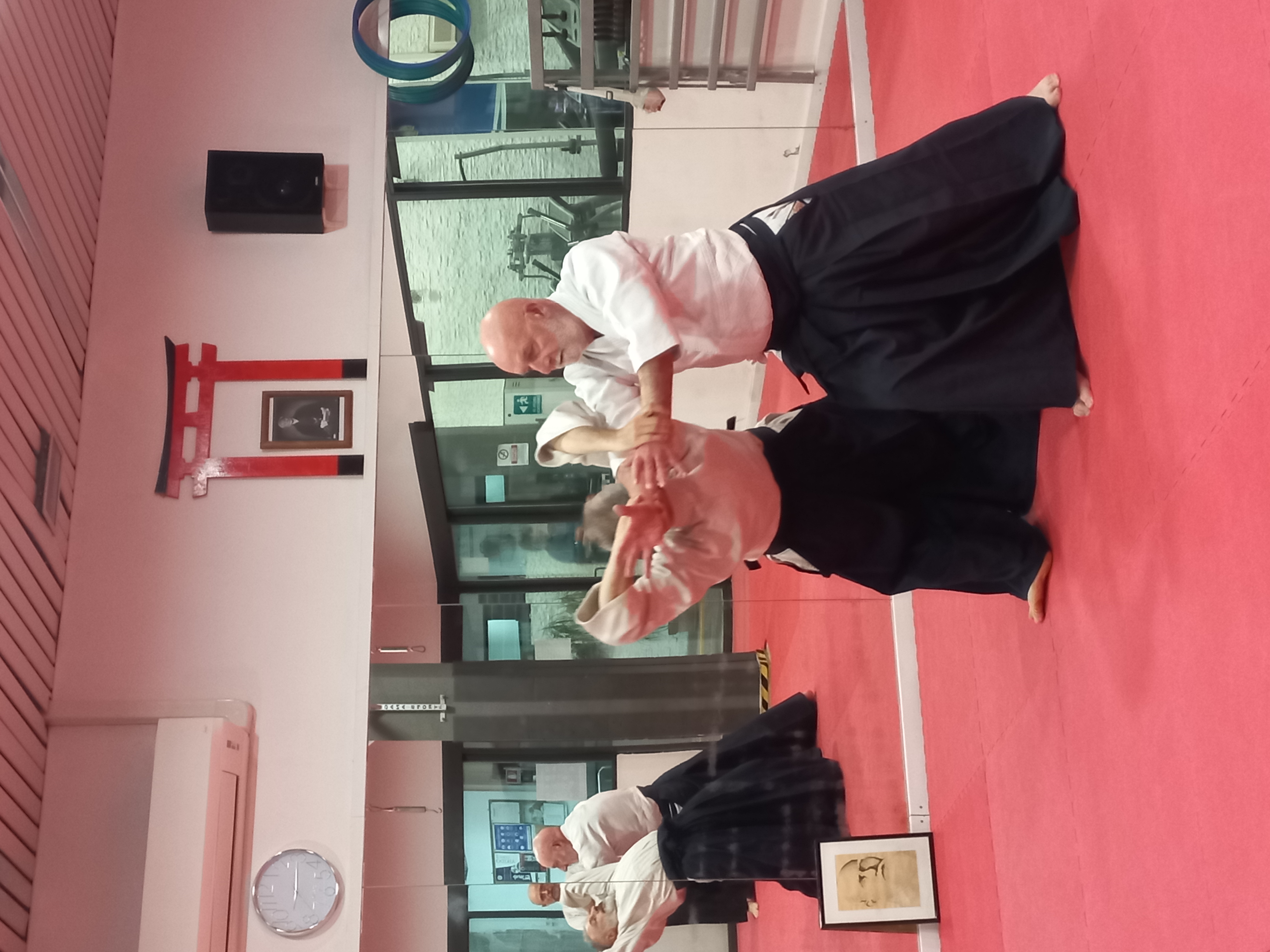 Dimostrazione del Maestro al dojo